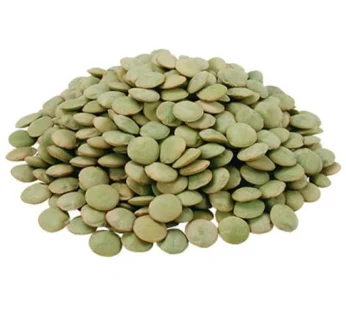 SOČIVO KRUPNO ZELENO 3KG