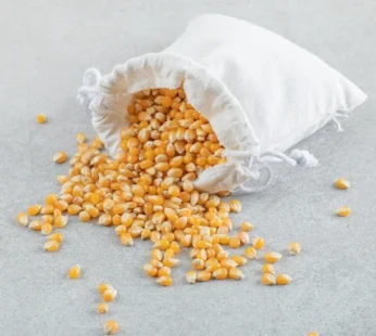 KUKURUZ KOKIČAR 5KG